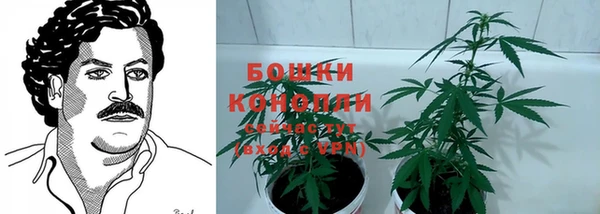 каннабис Белокуриха
