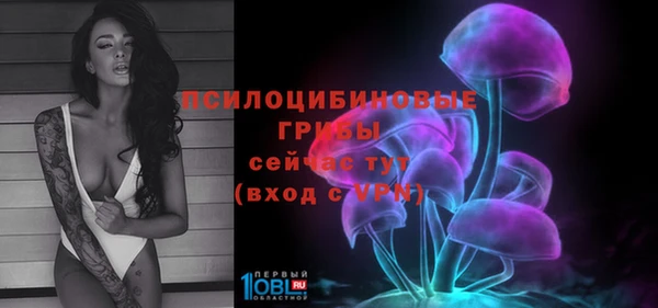 каннабис Белокуриха