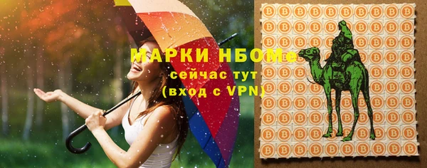 ГАЛЛЮЦИНОГЕННЫЕ ГРИБЫ Беломорск