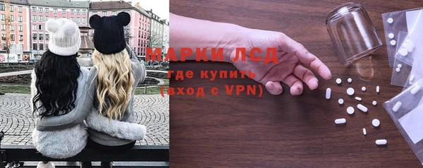 ГАЛЛЮЦИНОГЕННЫЕ ГРИБЫ Беломорск