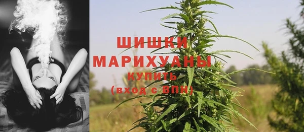 ГАЛЛЮЦИНОГЕННЫЕ ГРИБЫ Беломорск