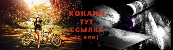 ГАЛЛЮЦИНОГЕННЫЕ ГРИБЫ Беломорск